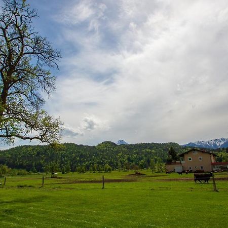 Gaestehaus Dobernig Sankt Niklas an der Drau المظهر الخارجي الصورة